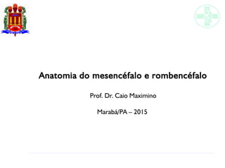 Anatomia do mesencéfalo e rombencéfalo
Prof. Dr. Caio Maximino
Marabá/PA – 2015
 