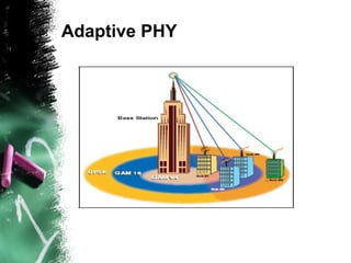 Adaptive PHY
 
