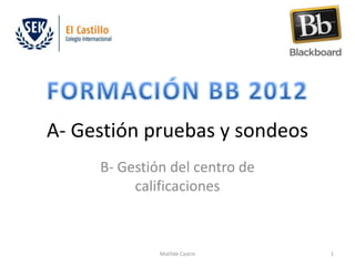 A- Gestión pruebas y sondeos
     B- Gestión del centro de
          calificaciones



              Matilde Castro    1
 