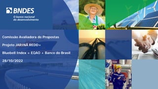 Comissão Avaliadora de Propostas
Projeto JARINÃ REDD+
Bluebell Index + EQAO + Banco do Brasil
28/10/2022
 