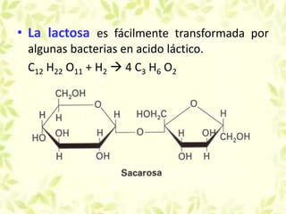 • La lactosa es fácilmente transformada por
algunas bacterias en acido láctico.
C12 H22 O11 + H2  4 C3 H6 O2
 