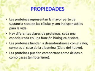 PROPIEDADES
• Las proteínas representan la mayor parte de
sustancia seca de las células y son indispensables
para la vida.
• Hay diferentes clases de proteínas, cada una
especializada en una función biológica distinta.
• Las proteínas tienden a desnaturalizarse con el calor,
como es el caso de la albumina (Clara del huevo).
• Las proteínas pueden comportase como ácidos o
como bases (anfioterismo).
 