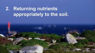 A SYSTEM THAT WORKS
2. Returning nutrients
appropriately to the soil.
 