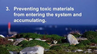 A SYSTEM THAT WORKS
3. Preventing toxic materials
from entering the system and
accumulating.
 