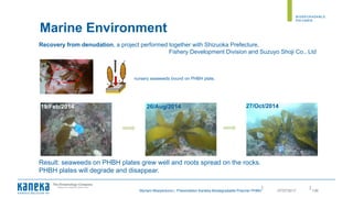 ||
Recovery from denudation, a project performed together with Shizuoka Prefecture,
Fishery Development Division and Suzuyo Shoji Co., Ltd
19/Feb/2014
nursery seaweeds bound on PHBH plate.
Result: seaweeds on PHBH plates grew well and roots spread on the rocks.
PHBH plates will degrade and disappear.
26/Aug/2014 27/Oct/2014
13607/07/2017Myriam Moeyersons | Presentation Kaneka Biodegradable Polymer PHBH
Marine Environment
 
