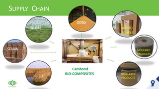 SUPPLY CHAIN
ALGAE
STRAW
REED
DDGS
Cambond
BIO-COMPOSITES BIOPLASTIC
PRODUCTS
MOULDED
PRODUCTS
WOOD
PANELS
 