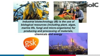 Industrial biotechnology (IB) is the use of
biological resources (including plant, algae,
marine life, fungi and micro-organisms) for
producing and processing of materials,
chemicals and energy
 