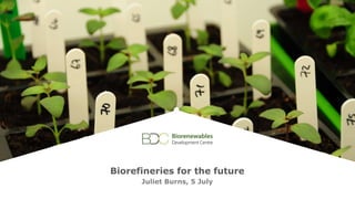 184
Biorefineries for the future
Juliet Burns, 5 July
 