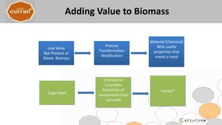 Adding Value to Biomass
197
Low Value
Bye Product or
Waste Biomass
Process
Transformation
Modification
Material (Chemical)
With useful
properties that
meets a need
Sugar beet
Chemical or
Enzymatic
Extraction of
components from
cell walls
Curran®
 