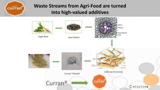 Waste Streams from Agri-Food are turned
into high-valued additives
 