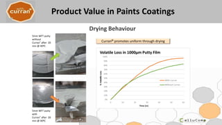 5mm WFT putty
without
Curran® after 20
min @ 40ºC
Curran® promotes uniform through drying
5mm WFT putty
with
Curran® after 20
min @ 40ºC
Drying Behaviour
 