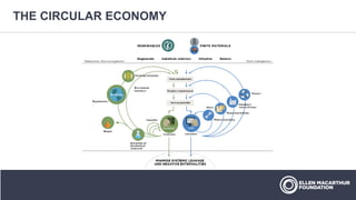 THE CIRCULAR ECONOMY
 