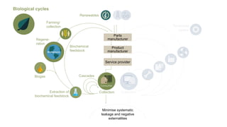 Minimise systematic
leakage and negative
externalities
Collection Collection
Technical
cycles
Renewables
Biological cycles
Cascades
Biochemical
feedstock
Biogas
Regene-
ration
Extraction of
biochemical feedstock
Product
manufacturer
Service provider
Parts
manufacturer
Farming/
collection
 