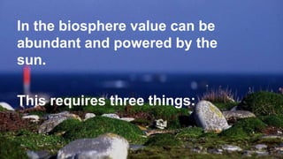 A SYSTEM THAT WORKS
In the biosphere value can be
abundant and powered by the
sun.
This requires three things:
 