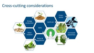 Cross-cutting considerations
Value
creation
Skills
Energy
production
Land use
Cross-
sector
Increased
awareness
Policy &
Regulations
 