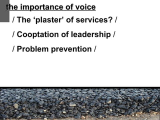 the importance of voice /  The ‘plaster’ of services?  / /  Cooptation of leadership  / /  Problem prevention  / 