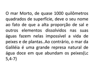 O mar Morto, de quase 1000 quilômetros
quadrados de superfície, deve o seu nome
ao fato de que a alta proporção de sal e
outros elementos dissolvidos nas suas
águas fazem nelas impossível a vida de
peixes e de plantas..Ao contrário, o mar da
Galiléia é uma grande represa natural de
água doce em que abundam os peixes(Lc
5,4-7)
 