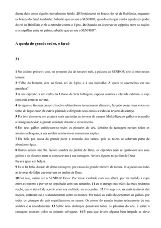 Bíblia Católica CNBB