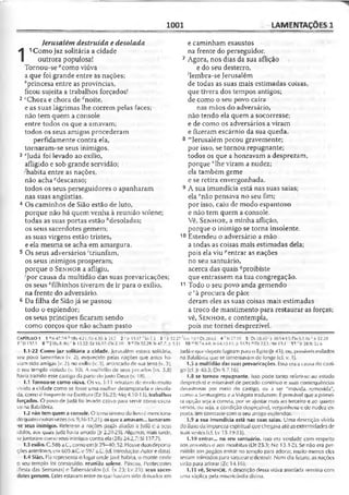 Bíblia de Estudo John Macarthur-completa