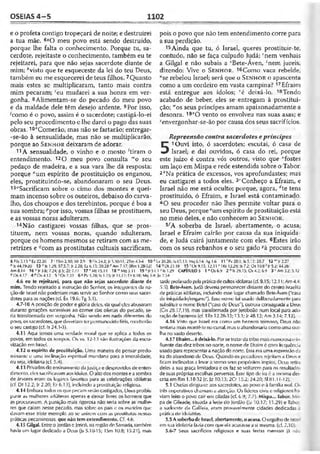 Bíblia de Estudo John Macarthur-completa