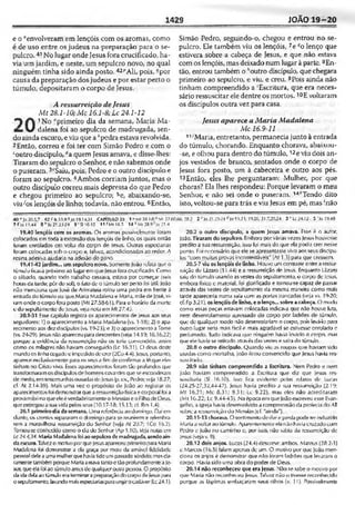 Bíblia de Estudo John Macarthur-completa