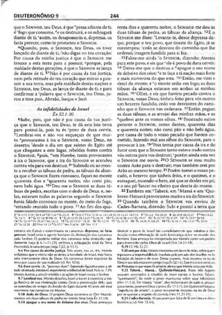 Bíblia de Estudo John Macarthur-completa