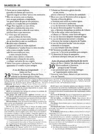 Bíblia de Estudo John Macarthur-completa