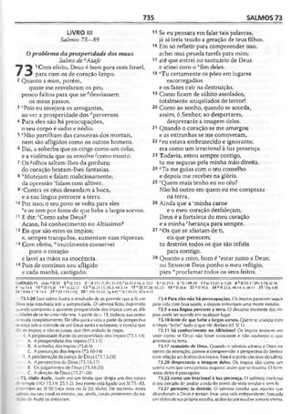 Bíblia de Estudo John Macarthur-completa