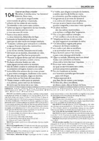 Bíblia de Estudo John Macarthur-completa