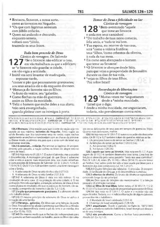 Bíblia de Estudo John Macarthur-completa