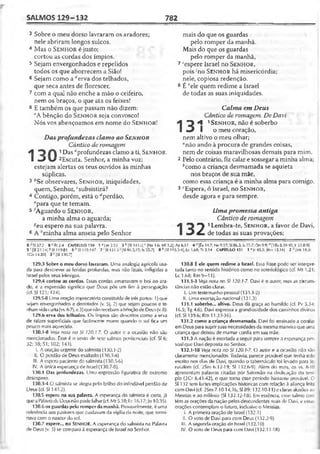 Bíblia de Estudo John Macarthur-completa