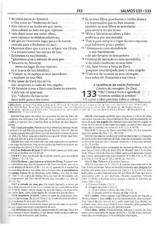 Bíblia de Estudo John Macarthur-completa