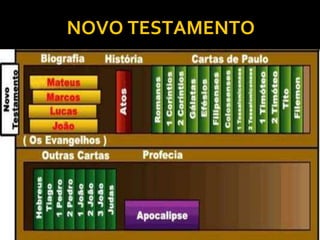 NOVO TESTAMENTO
19
 