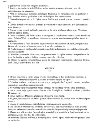 Bíblia sagrada   completa