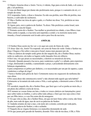 Bíblia sagrada   completa