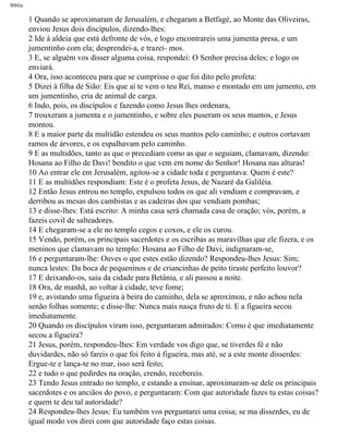 Bíblia sagrada   completa