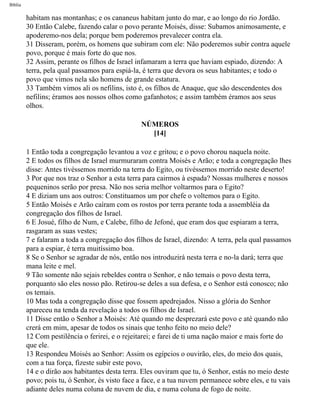Bíblia
habitam nas montanhas; e os cananeus habitam junto do mar, e ao longo do rio Jordão.
30 Então Calebe, fazendo calar o povo perante Moisés, disse: Subamos animosamente, e
apoderemo-nos dela; porque bem poderemos prevalecer contra ela.
31 Disseram, porém, os homens que subiram com ele: Não poderemos subir contra aquele
povo, porque é mais forte do que nos.
32 Assim, perante os filhos de Israel infamaram a terra que haviam espiado, dizendo: A
terra, pela qual passamos para espiá-la, é terra que devora os seus habitantes; e todo o
povo que vimos nela são homens de grande estatura.
33 Também vimos ali os nefilins, isto é, os filhos de Anaque, que são descendentes dos
nefilins; éramos aos nossos olhos como gafanhotos; e assim também éramos aos seus
olhos.
NÚMEROS
[14]
1 Então toda a congregação levantou a voz e gritou; e o povo chorou naquela noite.
2 E todos os filhos de Israel murmuraram contra Moisés e Arão; e toda a congregação lhes
disse: Antes tivéssemos morrido na terra do Egito, ou tivéssemos morrido neste deserto!
3 Por que nos traz o Senhor a esta terra para cairmos à espada? Nossas mulheres e nossos
pequeninos serão por presa. Não nos seria melhor voltarmos para o Egito?
4 E diziam uns aos outros: Constituamos um por chefe o voltemos para o Egito.
5 Então Moisés e Arão caíram com os rostos por terra perante toda a assembléia da
congregação dos filhos de Israel.
6 E Josué, filho de Num, e Calebe, filho de Jefoné, que eram dos que espiaram a terra,
rasgaram as suas vestes;
7 e falaram a toda a congregação dos filhos de Israel, dizendo: A terra, pela qual passamos
para a espiar, é terra muitíssimo boa.
8 Se o Senhor se agradar de nós, então nos introduzirá nesta terra e no-la dará; terra que
mana leite e mel.
9 Tão somente não sejais rebeldes contra o Senhor, e não temais o povo desta terra,
porquanto são eles nosso pão. Retirou-se deles a sua defesa, e o Senhor está conosco; não
os temais.
10 Mas toda a congregação disse que fossem apedrejados. Nisso a glória do Senhor
apareceu na tenda da revelação a todos os filhos de Israel.
11 Disse então o Senhor a Moisés: Até quando me desprezará este povo e até quando não
crerá em mim, apesar de todos os sinais que tenho feito no meio dele?
12 Com pestilência o ferirei, e o rejeitarei; e farei de ti uma nação maior e mais forte do
que ele.
13 Respondeu Moisés ao Senhor: Assim os egípcios o ouvirão, eles, do meio dos quais,
com a tua força, fizeste subir este povo,
14 e o dirão aos habitantes desta terra. Eles ouviram que tu, ó Senhor, estás no meio deste
povo; pois tu, ó Senhor, és visto face a face, e a tua nuvem permanece sobre eles, e tu vais
adiante deles numa coluna de nuvem de dia, e numa coluna de fogo de noite.
file:///C|/cursos_e_livros_cd/Triagem/000000-biblia.html (198 of 1452)29/09/2004 18:26:28
 