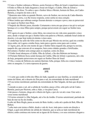 Bíblia
5 Como o Senhor ordenara a Moises, assim fizeram os filhos de Israel e repartiram a terra.
6 Então os filhos de Judá chegaram a Josué em Gilgal; e Calebe, filho de Jefoné o
quenezeu, lhe disse: Tu sabes o que o Senhor falou a Moisés, homem de Deus, em Cades-
Barnéia, a respeito de mim e de ti.
7 Quarenta anos tinha eu quando Moisés, servo do Senhor, me enviou de Cades-Barnéia
para espiar a terra, e eu lhe trouxe resposta, como sentia no meu coração.
8 Meus irmãos que subiram comigo fizeram derreter o coraçao o povo; mas eu perseverei
em seguir ao Senhor meu Deus.
9 Naquele dia Moisés jurou, dizendo: Certamente a terra em que pisou o teu pé te será por
herança a ti e a teus filhos para sempre, porque perseveraste em seguir ao Senhor meu
Deus.
10 E agora eis que o Senhor, como falou, me conservou em vida estes quarentá e cinco
anos, desde o tempo em que o Senhor falou esta palavra a Moisés, andando Israel ainda no
deserto; e eis que hoje tenho já oitenta e cinco anos;
11 ainda hoje me acho tão forte como no dia em que Moisés me enviou; qual era a minha
força então, tal é agora a minha força, tanto para a guerra como para sair e entrar.
12 Agora, pois, dá-me este monte de que o Senhor falou naquele dia; porque tu ouviste,
naquele dia, que estavam ali os anaquins, bem como cidades grandes e fortificadas.
Porventura o Senhor será comigo para os expulsar, como ele disse.
13 Então Josué abençoou a Calebe, filho de Jefoné, e lhe deu Hebrom em herança.
14 Portanto Hebrom ficou sendo herança de Calebe, filho de Jefoné o quenezeu, até o dia
de hoje, porquanto perseverara em seguir ao Senhor Deus de Israel.
15 Ora, o nome de Hebrom era outrora Quiriate-Arba, porque Arba era o maior homem
entre os anaquins. E a terra repousou da guerra.
JOSUÉ
[15]
1 A sorte que coube à tribo dos filhos de Judá, segundo as suas famílias, se estende até o
termo de Edom, até o deserto de Zim para o sul, na extremidade do lado meridional
2 O seu termo meridional, partindo da extremidade do Mar Salgado, da baía que dá para o
sul,
3 estende-se para o sul, até a subida de Acrabim, passa a Zim, sobe pelo sul de Cades-
Barnéia, passa por Hezrom, sobe a Adar, e vira para Carca;
4 daí passa a Azmom, chega até o ribeiro do Egito, e por ele vai até o mar. Este será o
vosso termo meridional.
5 O termo oriental é o Mar Salgado, até a foz do Jordão. O termo setentrional, partindo da
baía do mar na foz do Jordão,
6 sobe até Bete-Hogla, passa ao norte de Bete-Arabá, e sobe até a pedra de Boã, filho de
Rúben;
7 sobe mais este termo a Debir, desde o vale de Acor, indo para o norte em direção a
Gilgal, a qual está defronte da subida de Adumim, que se acha ao lado meridional do
ribeiro; então continua este termo até as águas de En-Semes, e os seus extremos chegam a
file:///C|/cursos_e_livros_cd/Triagem/000000-biblia.html (303 of 1452)29/09/2004 18:26:28
 
