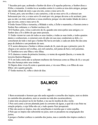 Bíblia sagrada   completa