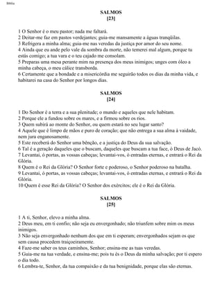 Bíblia sagrada   completa