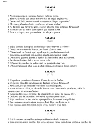 Bíblia sagrada   completa