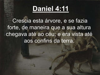 Daniel 4:11
Crescia esta árvore, e se fazia
forte, de maneira que a sua altura
chegava até ao céu; e era vista até
aos confins da terra.
 