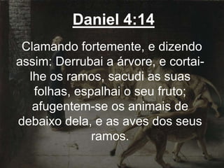 Daniel 4:14
Clamando fortemente, e dizendo
assim: Derrubai a árvore, e cortai-
lhe os ramos, sacudi as suas
folhas, espalhai o seu fruto;
afugentem-se os animais de
debaixo dela, e as aves dos seus
ramos.
 