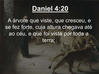 Daniel 4:20
A árvore que viste, que cresceu, e
se fez forte, cuja altura chegava até
ao céu, e que foi vista por toda a
terra;
 