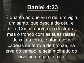 Daniel 4:23
E quanto ao que viu o rei, um vigia,
um santo, que descia do céu, e
dizia: Cortai a árvore, e destruí-a,
mas o tronco com as suas raízes
deixai na terra, e atada com
cadeias de ferro e de bronze, na
erva do campo; e seja molhado do
orvalho do céu, e a su
 