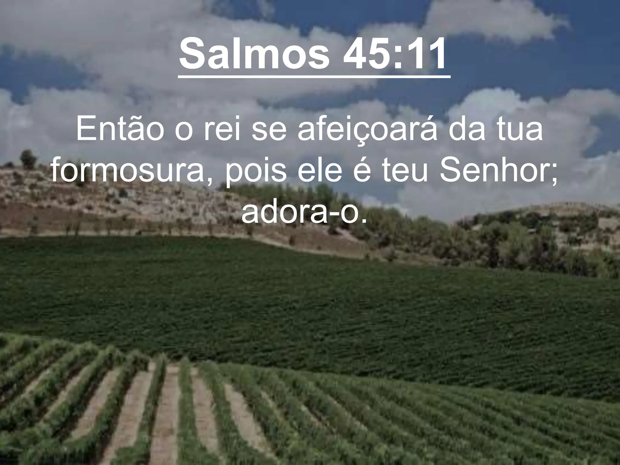 Salmos 45:11
Então o rei se afeiçoará da tua
formosura, pois ele é teu Senhor;
adora-o.
 