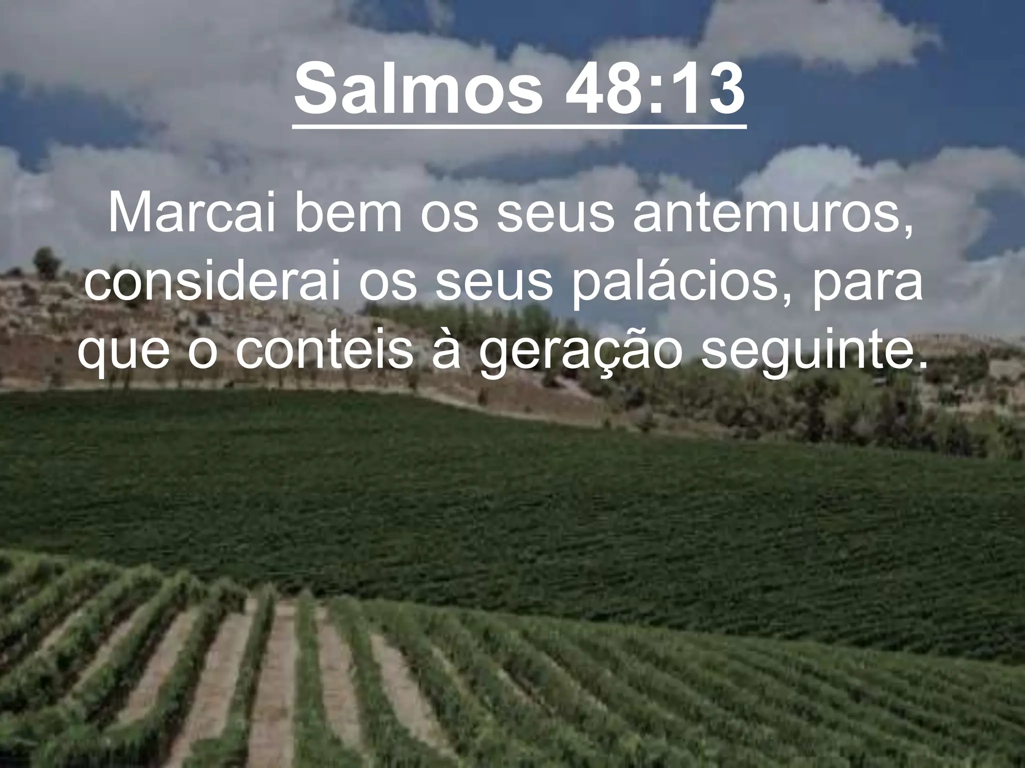 Salmos 48:13
Marcai bem os seus antemuros,
considerai os seus palácios, para
que o conteis à geração seguinte.
 