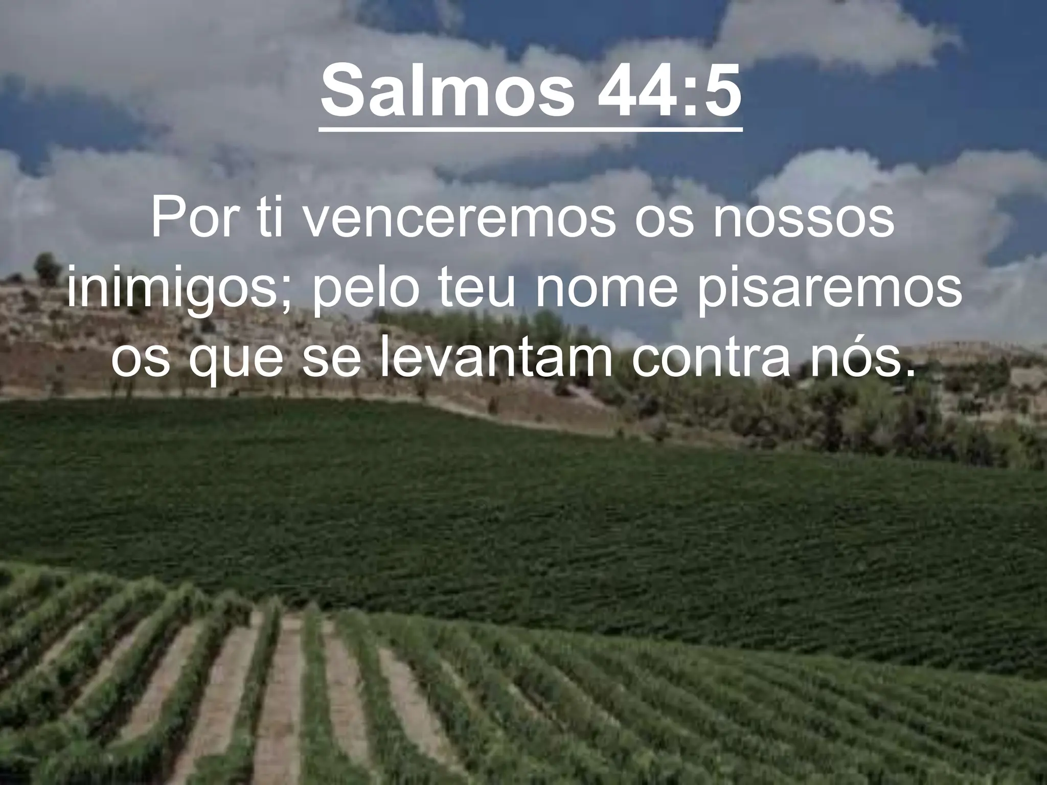 Salmos 44:5
Por ti venceremos os nossos
inimigos; pelo teu nome pisaremos
os que se levantam contra nós.
 