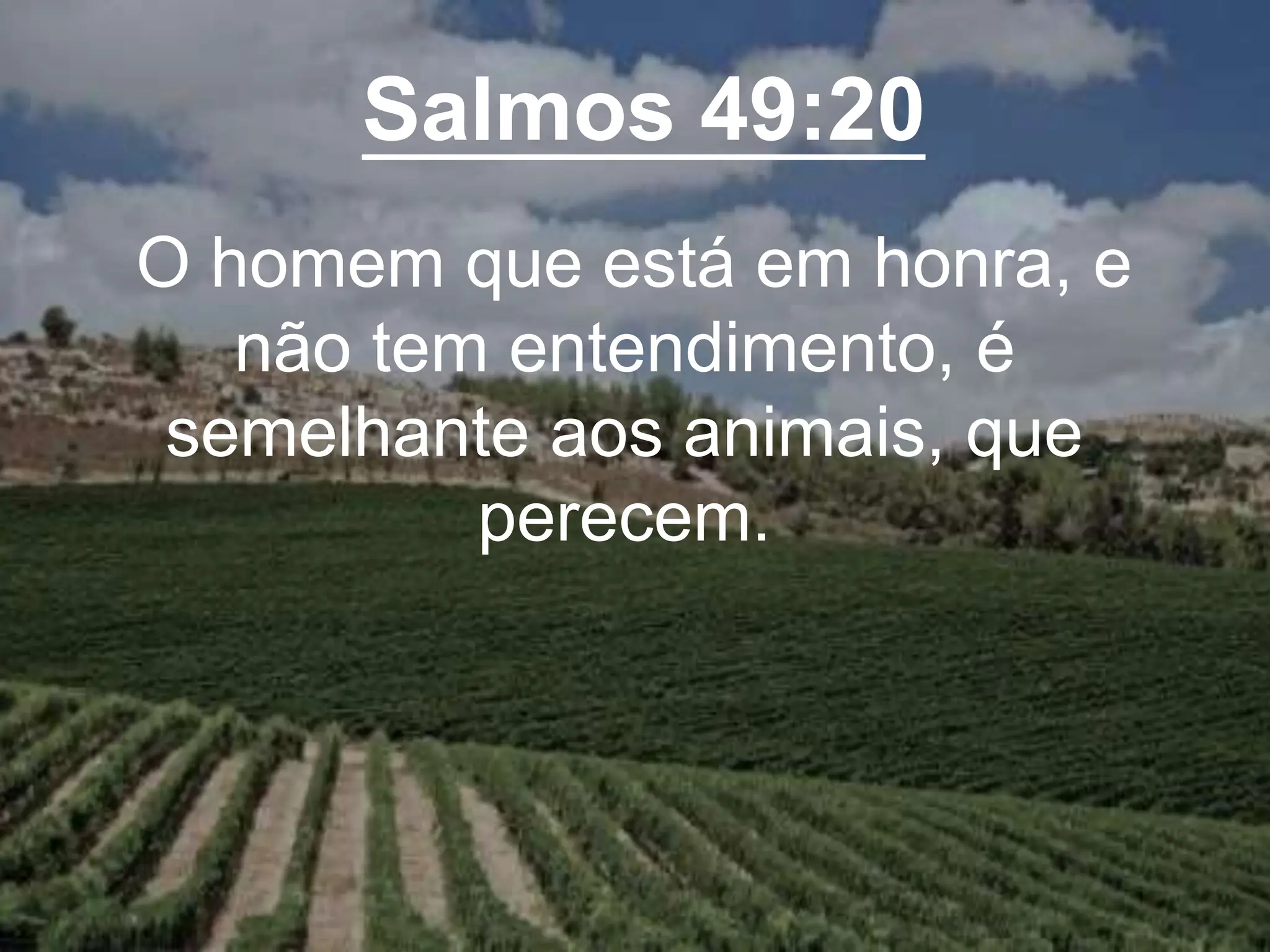 Salmos 49:20
O homem que está em honra, e
não tem entendimento, é
semelhante aos animais, que
perecem.
 