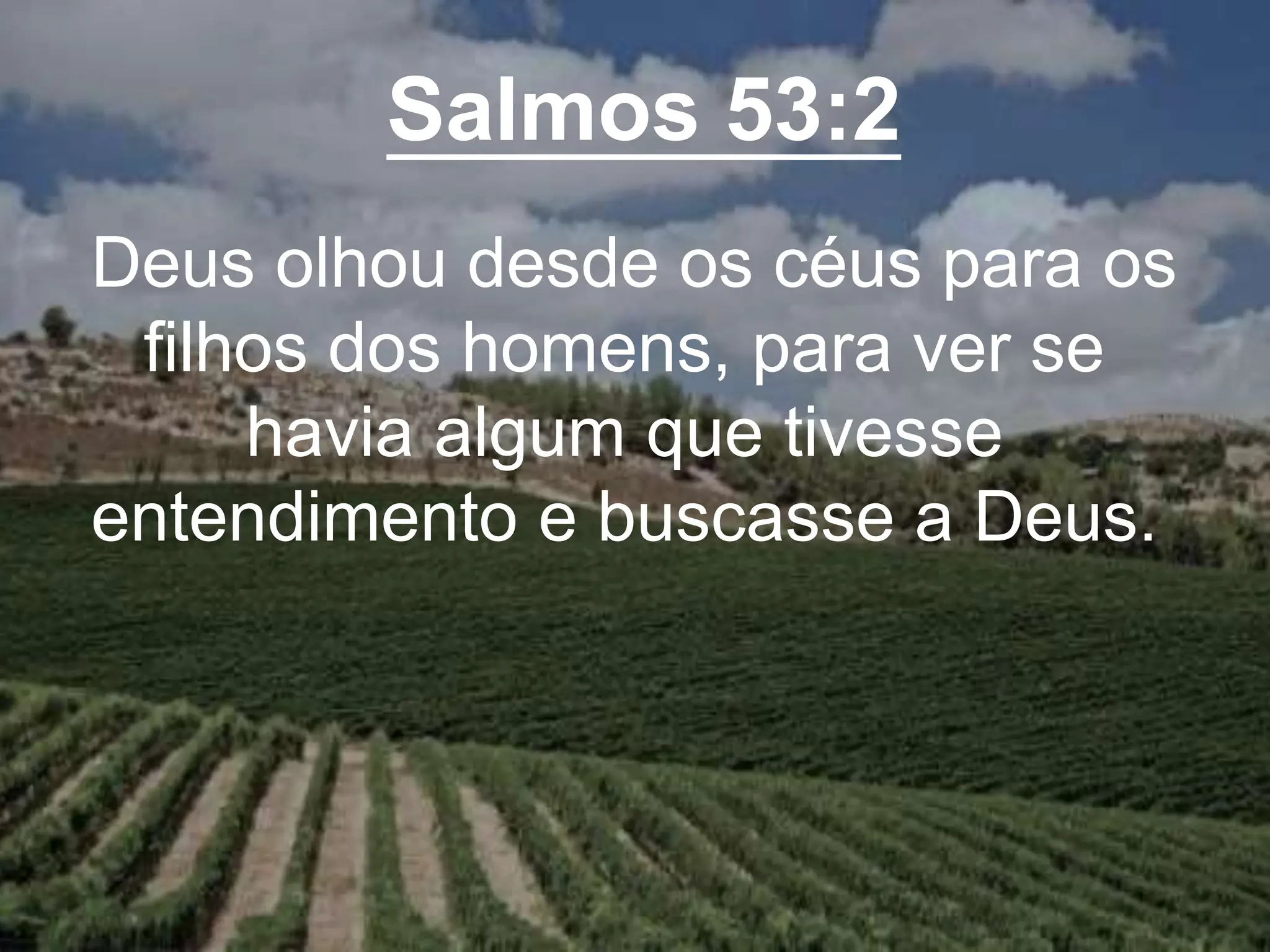 Salmos 53:2
Deus olhou desde os céus para os
filhos dos homens, para ver se
havia algum que tivesse
entendimento e buscasse a Deus.
 